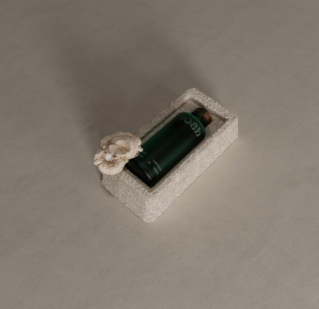 Envase de Botellas utilizando Mosh