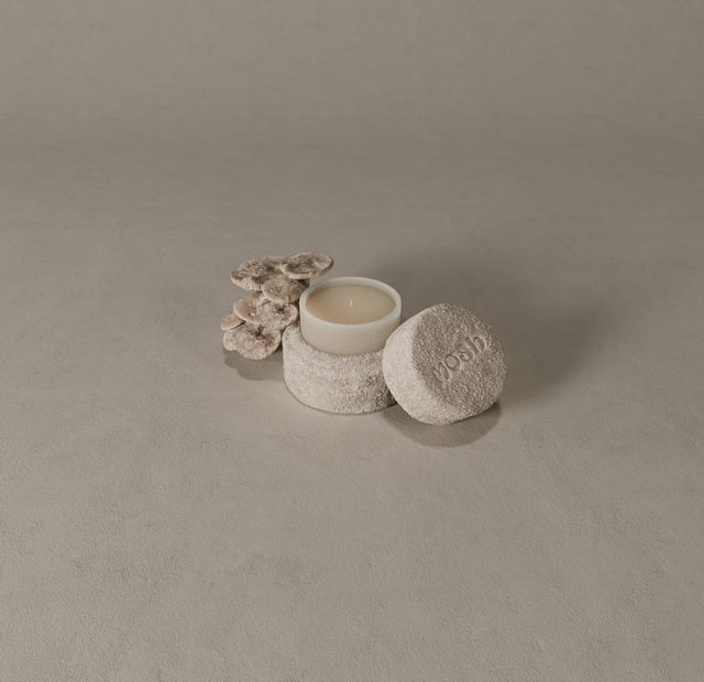 Envase de Embalaje de Velas utilizando Mosh