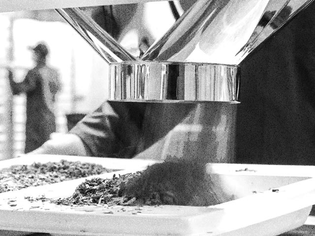 (Fase 01) Producción